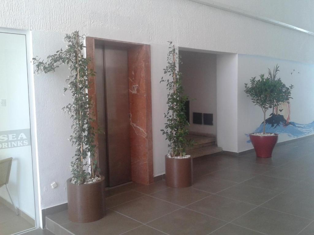 Palm Sea Beach Hotel Apartments Λάρνακα Εξωτερικό φωτογραφία