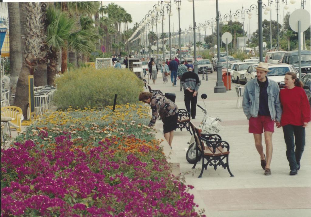 Palm Sea Beach Hotel Apartments Λάρνακα Εξωτερικό φωτογραφία